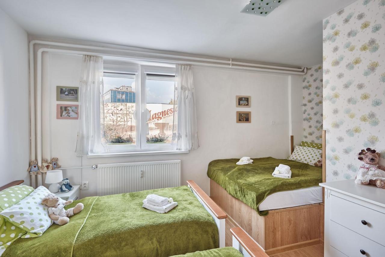 Apartment U Medvidka Karlovy Vary Kültér fotó